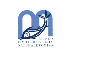 museo logo sponsor
